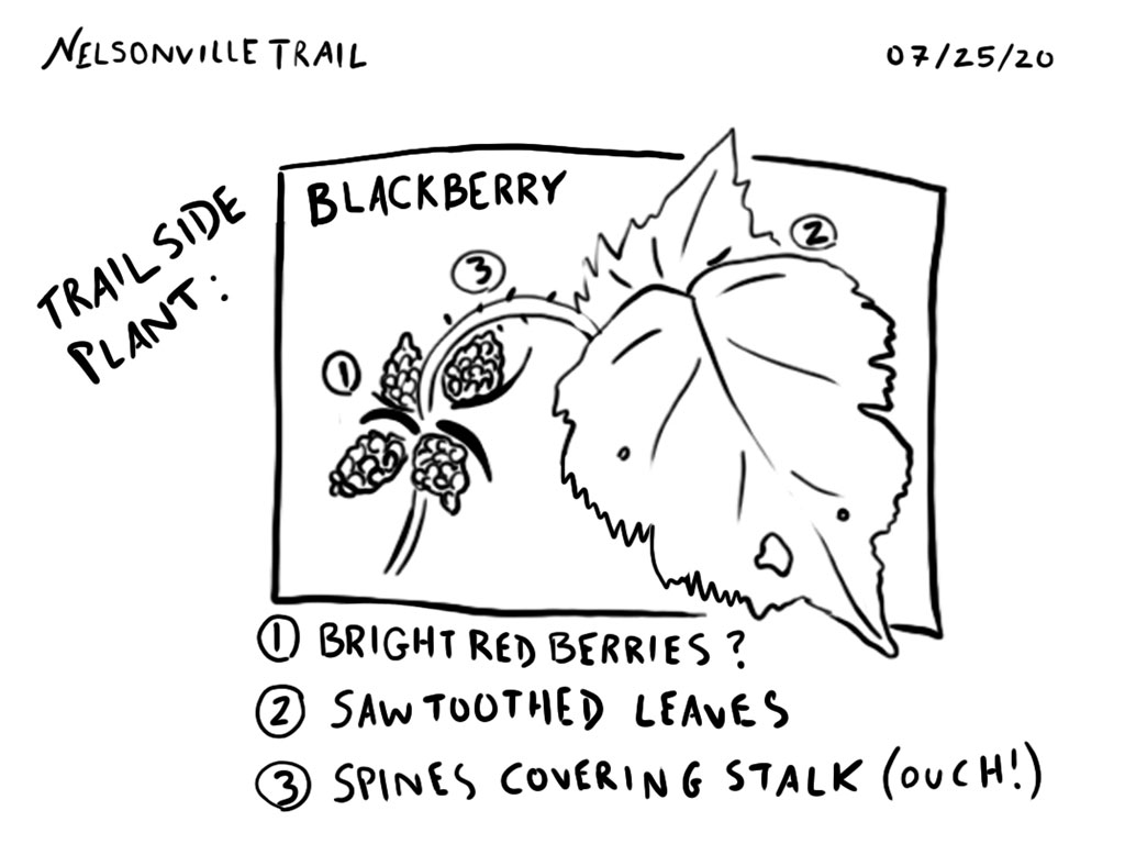 digital drawing tutorial 2