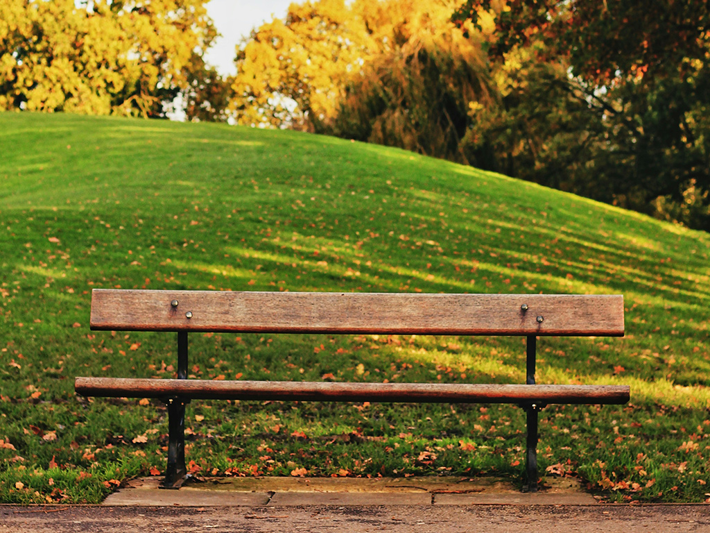 nature-journaling-05