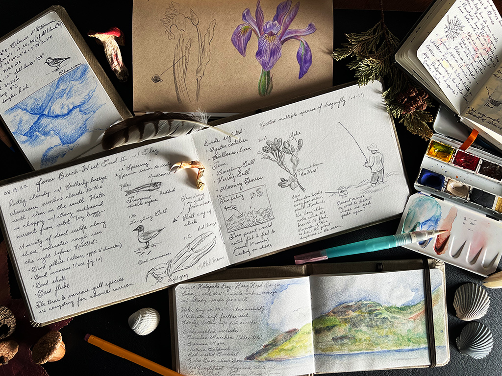 02 Nature Journaling in Citizen Science