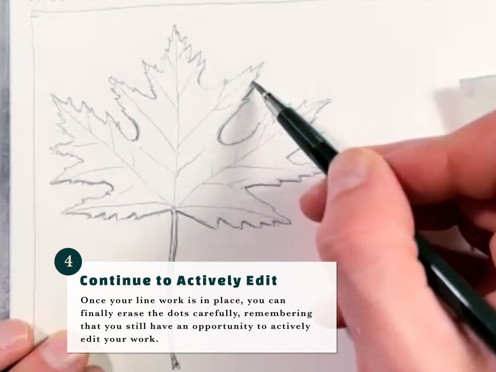 how to draw beginners 4