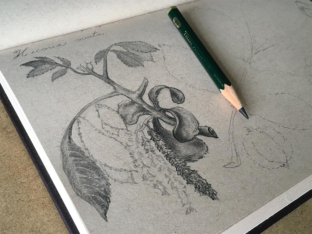 pencil drawing kit 1