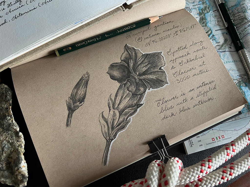 08 Nature Journaling in Citizen Science