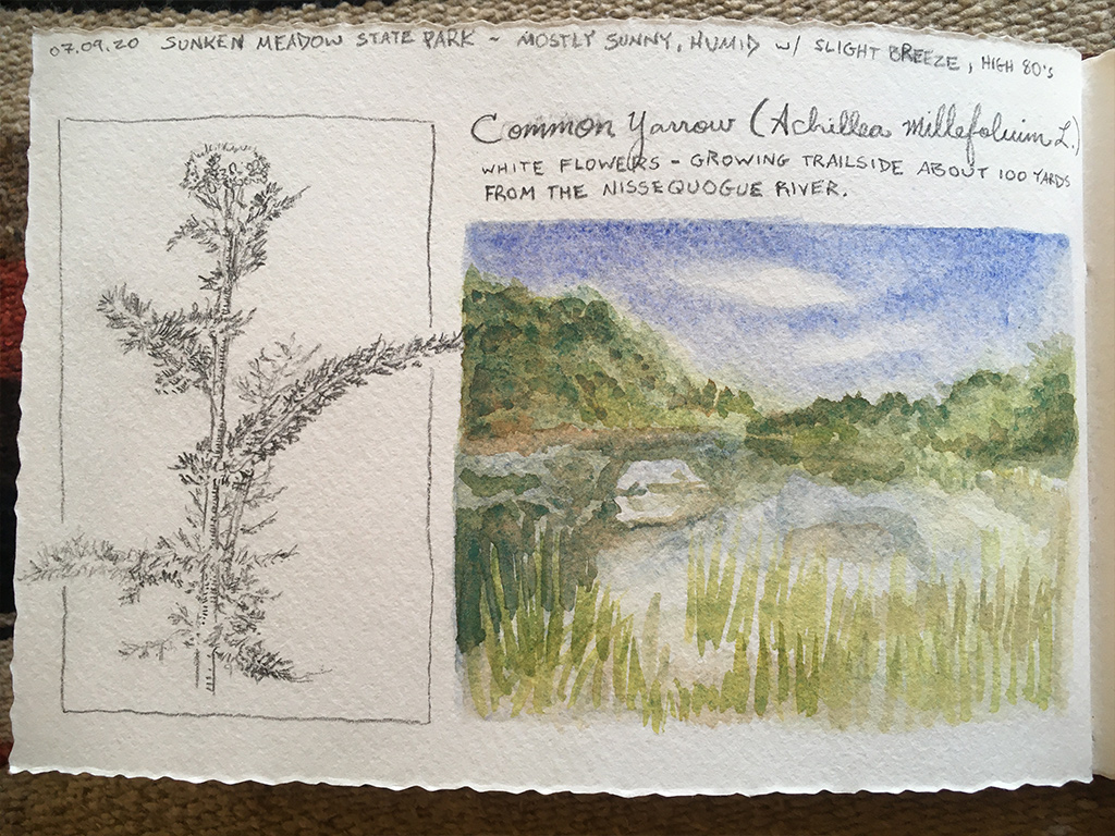 journaling in nature 7