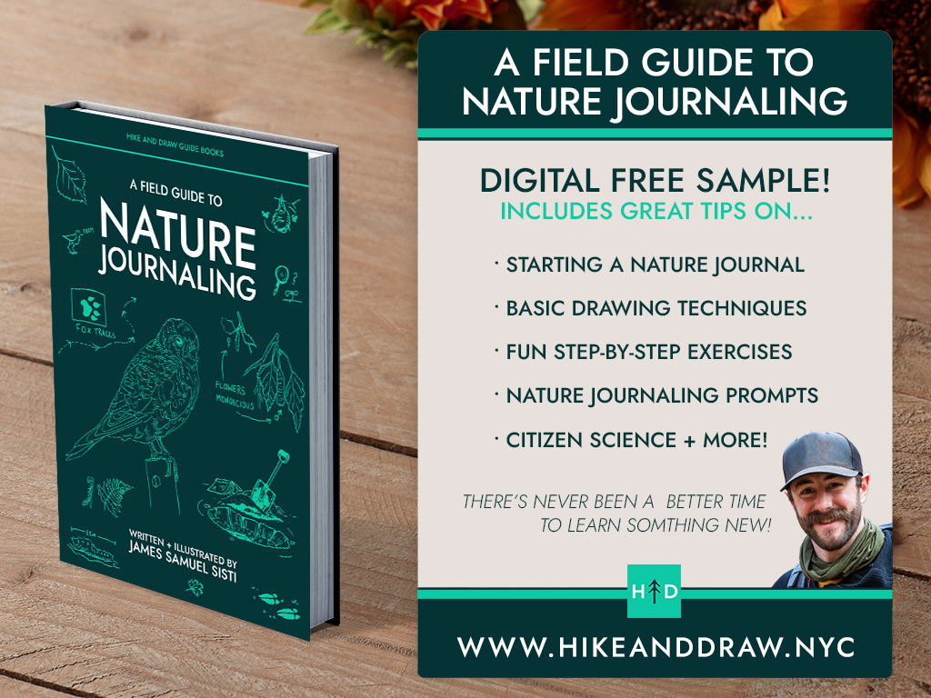01 Nature Journaling in Citizen Science