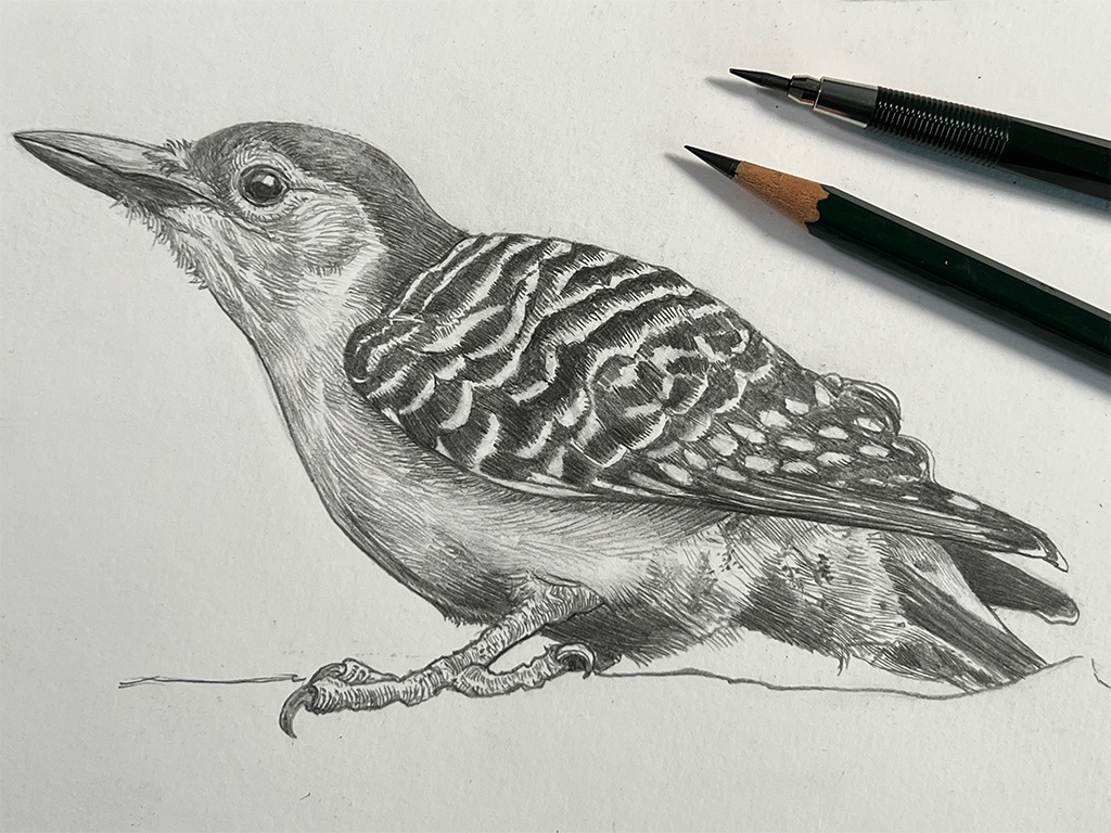 nature-journaling-03