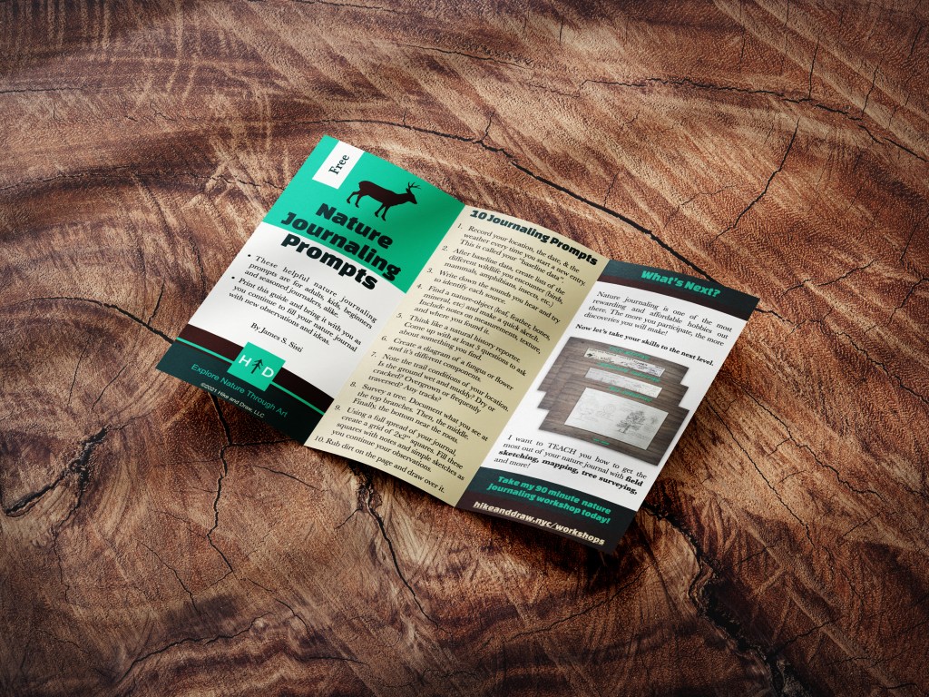 nature journaling prompts 1