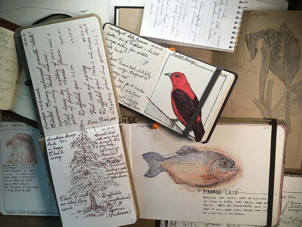 journaling in nature 2