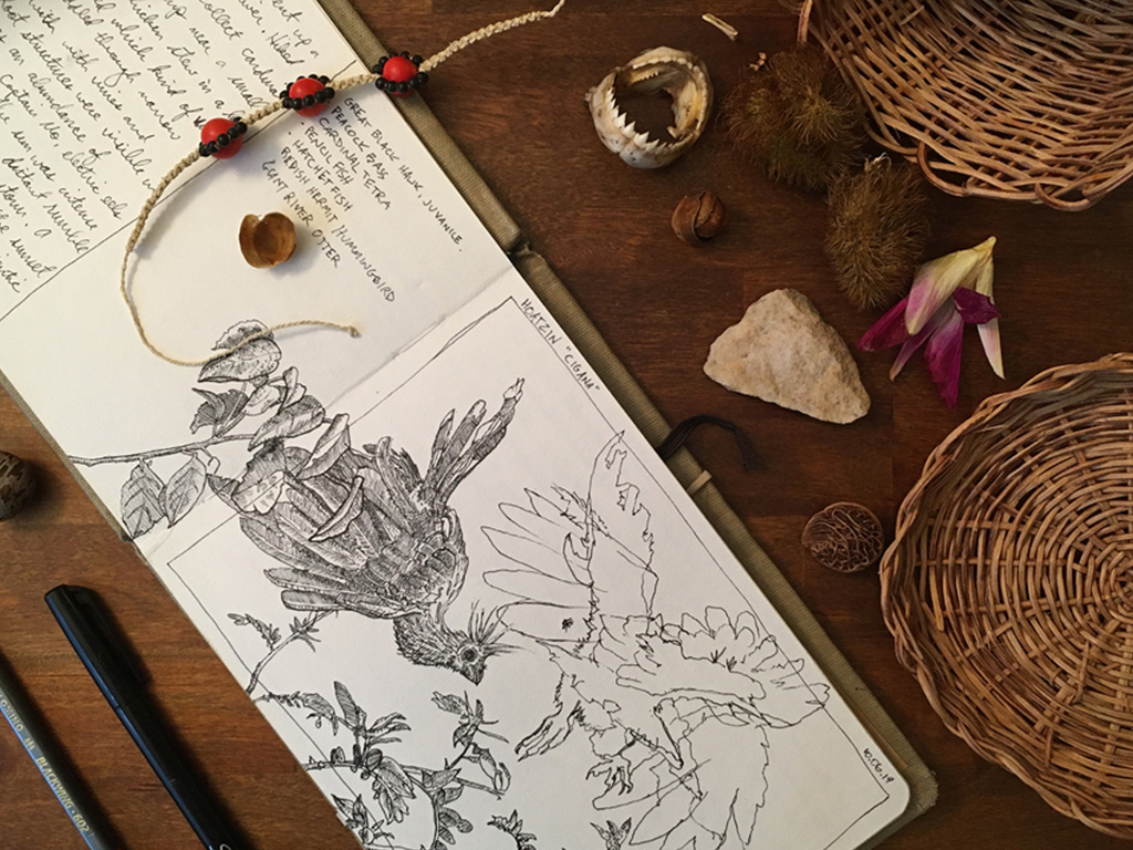 journaling in nature feature